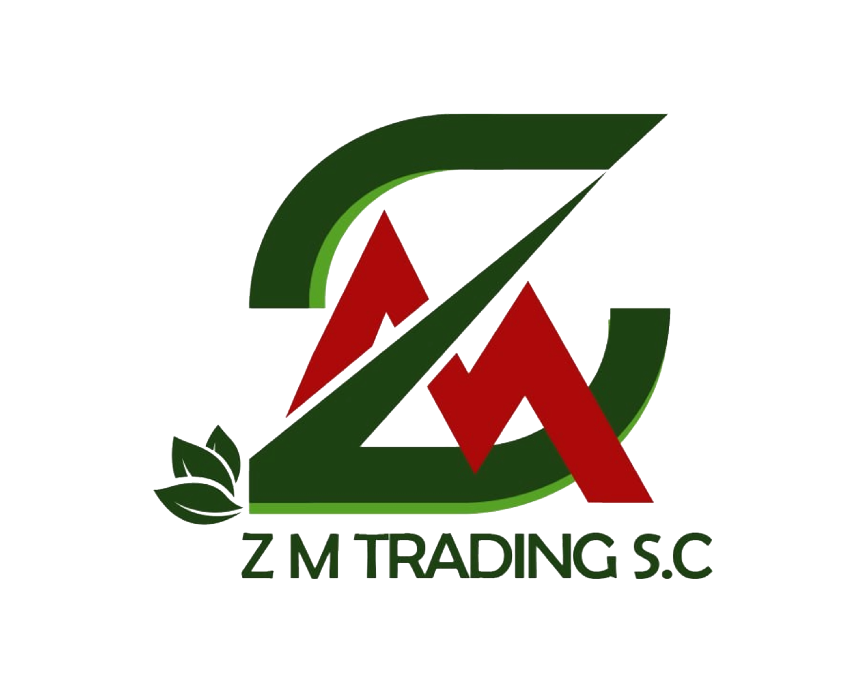 ZM Trading SC